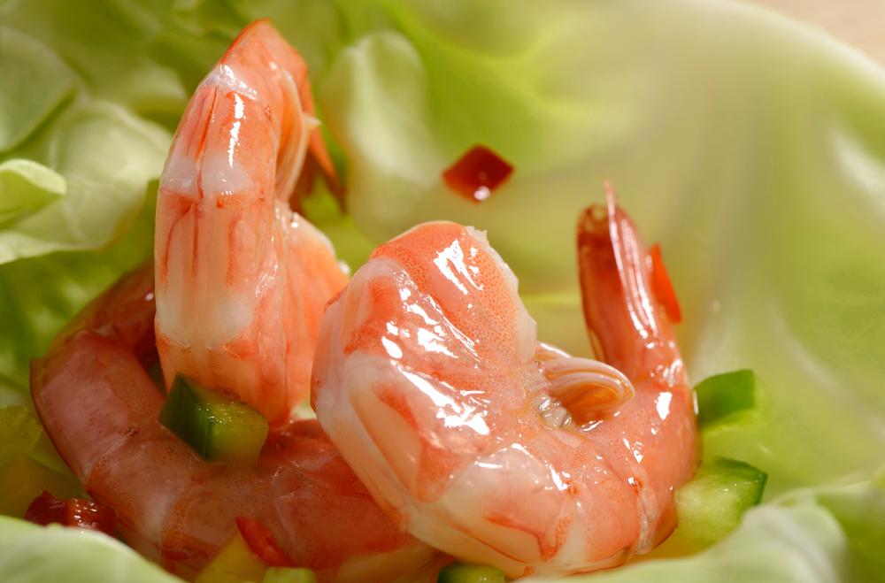 DSC_0246 副本(1).jpg